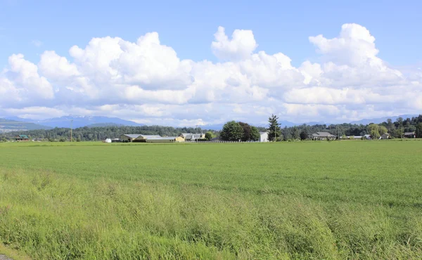 Terreno agrícola en Columbia Británica —  Fotos de Stock