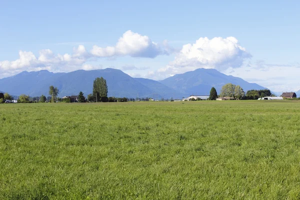 Grassland in the Fraser Valley — Stock Photo, Image