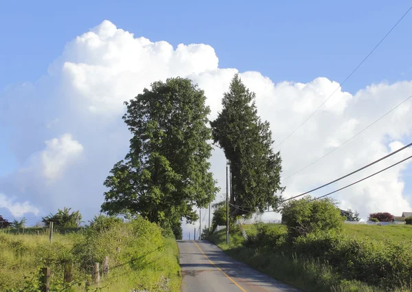 在狭窄的乡村公路ένα στενό επαρχιακό δρόμο — Φωτογραφία Αρχείου