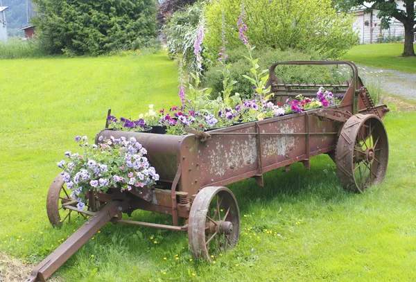 Viejo plantador de flores de tiempo — Foto de Stock