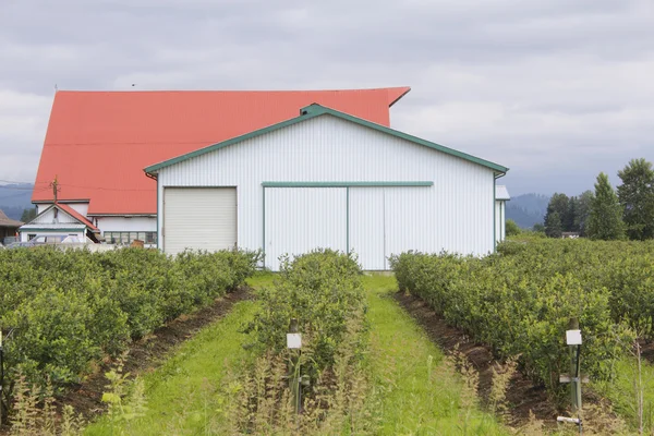 Çiftlik yeni bina — Stok fotoğraf
