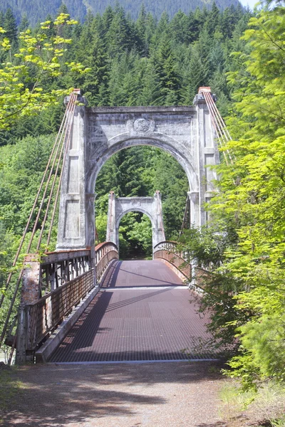 在不列颠哥伦比亚省的历史性亚历山德拉桥。 — 图库照片