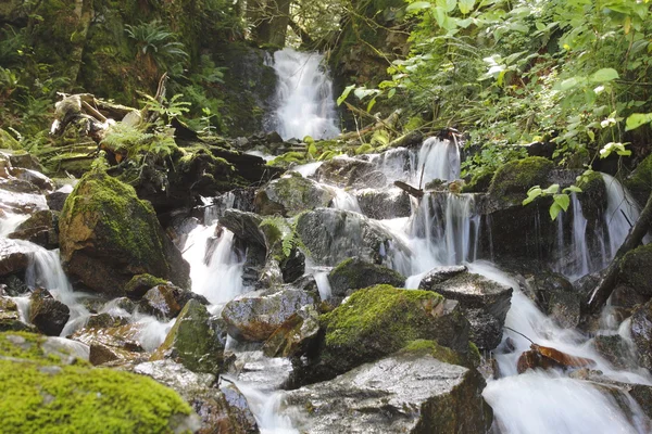 stock image Rocky Mountain Waterfall