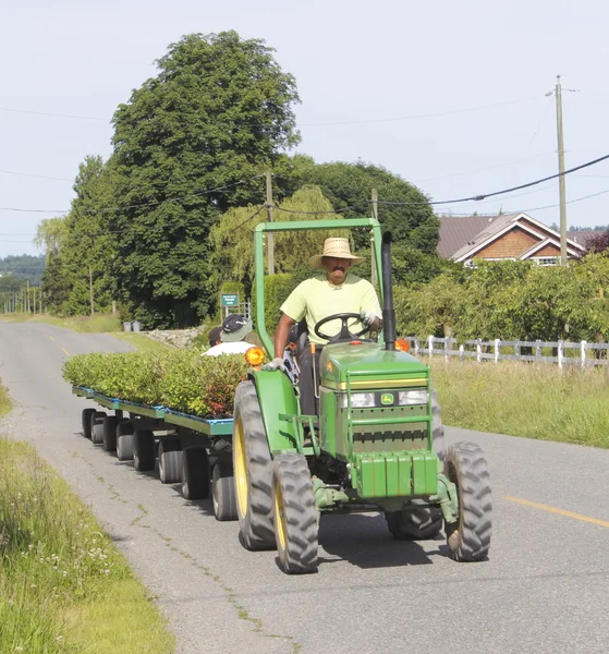 Indo-Canadese boer en zijn veldwerkers — Stockfoto
