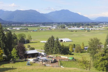 Summer in the Fraser Valley clipart