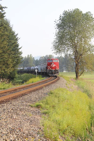 Trem canadense do Pacífico — Fotografia de Stock