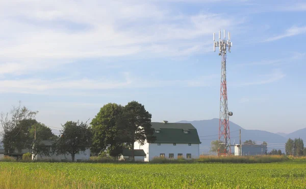 Torre de transmissão rural de microondas — Fotografia de Stock