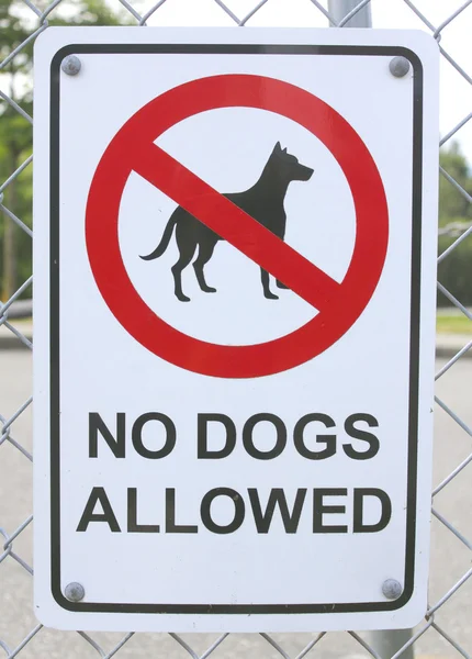 Não são permitidos cães sinal — Fotografia de Stock