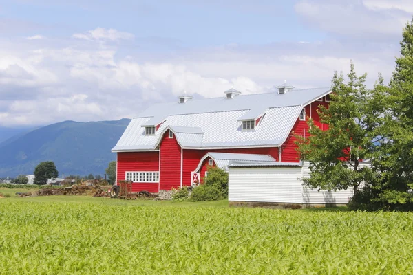 Červená stodola s zelená krajina — Stock fotografie