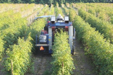 Small Fruit Picking Machine clipart