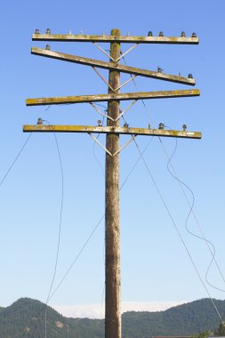 Broken Power Lines clipart