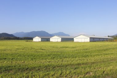 Farm Utility Buildings. clipart