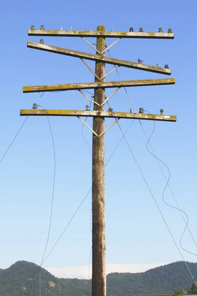 Kaputte Stromleitungen — Stockfoto