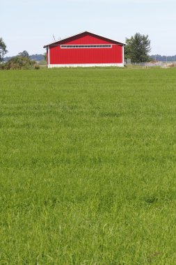 Red building, green field clipart