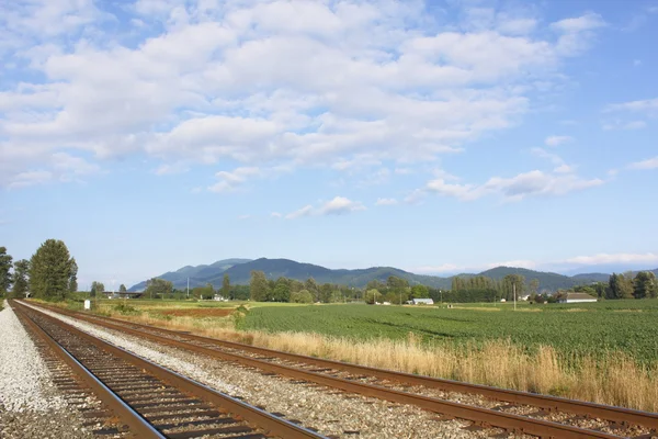 Железнодорожные пути в сельской местности — стоковое фото