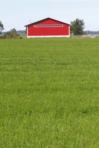 Rode gebouw, groen veld — Stockfoto