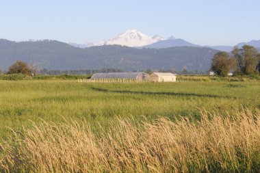 Mt. Baker or Mount Baker clipart