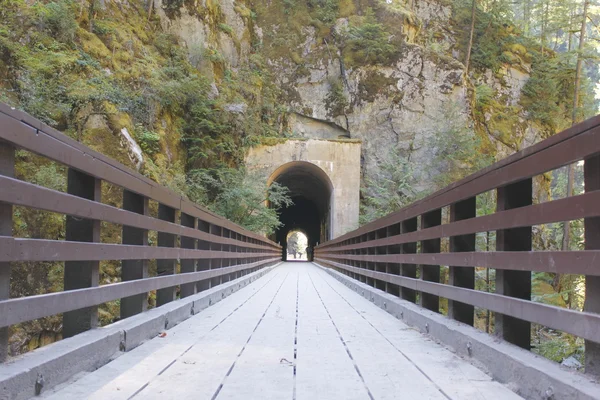 Залізничний тунель вхід — стокове фото