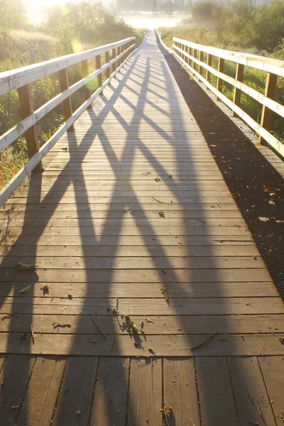 Sunlit Boardwalk — Stock Photo, Image