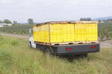 Blueberry Palats on a Truck clipart