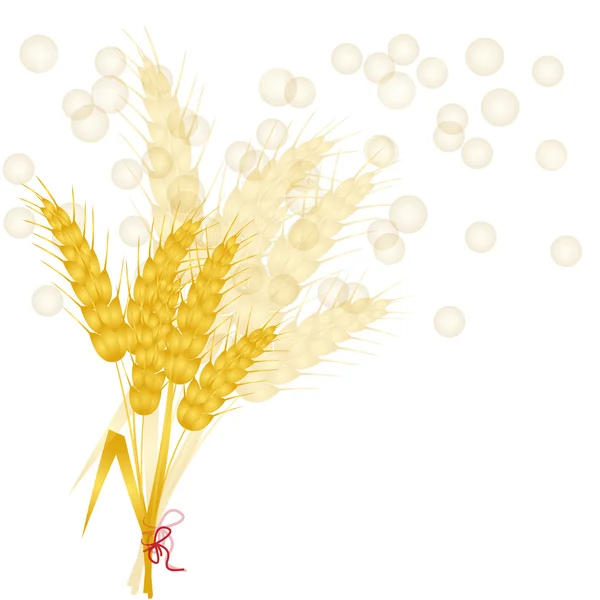 Pozadí s pšenice — Stockový vektor