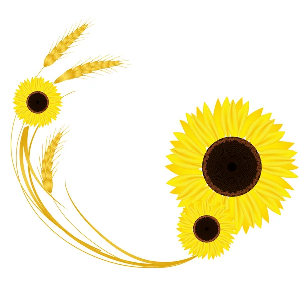 Podzimní design s slunečnice a pšenice — Stockový vektor