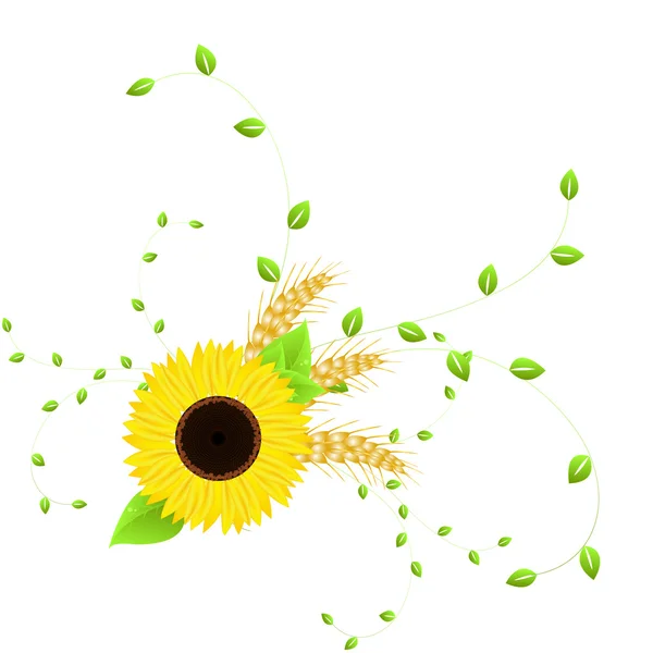 Herbstdesign mit Sonnenblume und Weizen — Stockvektor