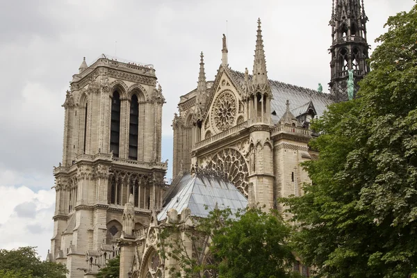 stock image Notre Dame