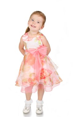Prenses elbisesi içinde gülümseyen küçük bir kızın portresi.