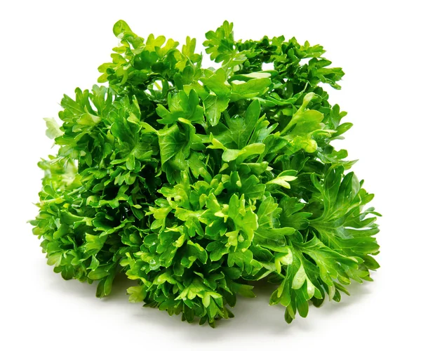 Bunch of parsley isolated on white — Stock Photo, Image