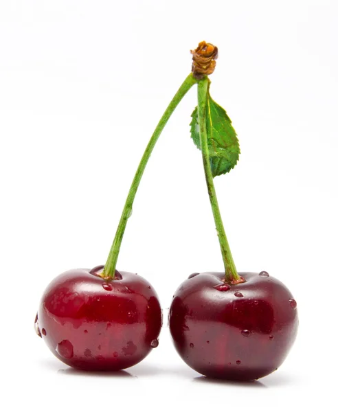 stock image Wet cherry isolated on a white