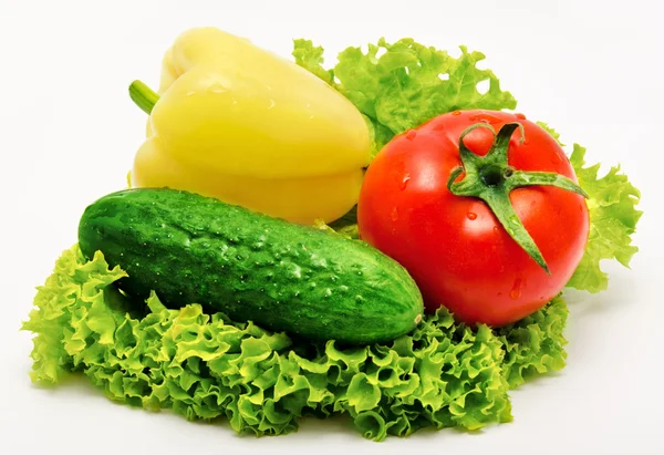 Tomate Paprika Gurken und Salat isoliert — Stockfoto