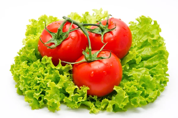 Skupina rajčete a zelený salát, izolované na bílém — Stock fotografie
