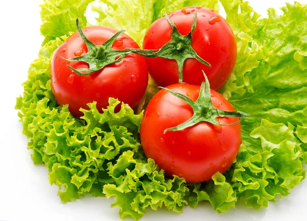 Grupo de tomate e salada verde isolado — Fotografia de Stock