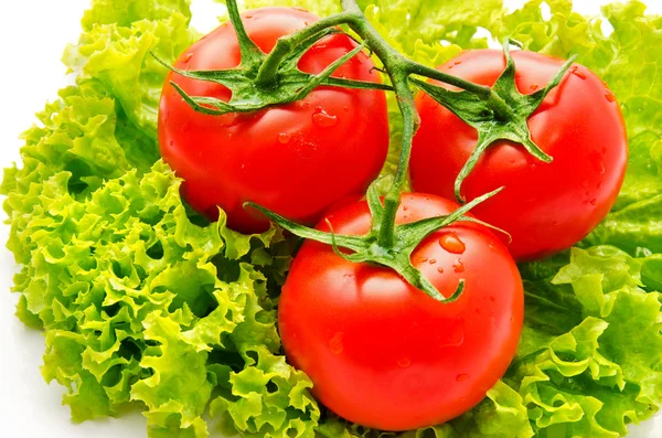 Skupina rajčete a zelený salát, samostatný — Stock fotografie