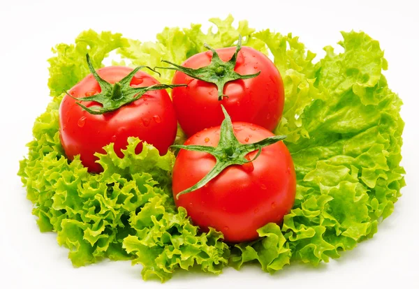 Gruppe von Tomaten und grünem Salat isoliert — Stockfoto