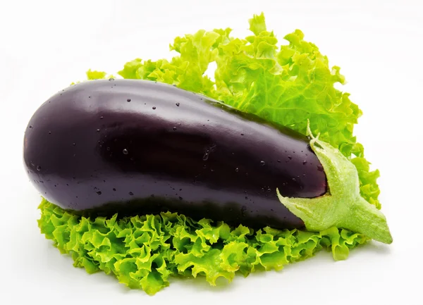 Auberginen und Salat isoliert — Stockfoto