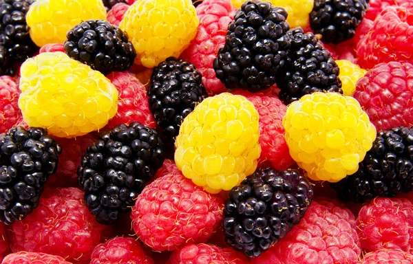 Červené a žluté maliny mulberry pozadí — Stock fotografie