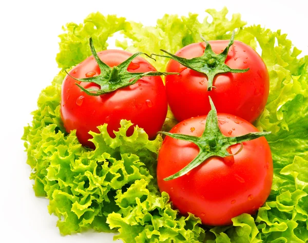 Grupo de ensalada de tomate y verde aislada — Foto de Stock