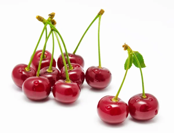 Natte cherry geïsoleerd op een witte — Stockfoto
