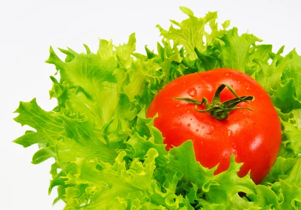 Zelený salát a rajče izolovaných na bílém — Stock fotografie