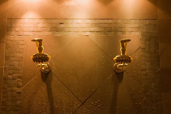 Роскошный душ на двоих Лицензионные Стоковые Фото