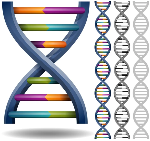 Cordas de ADN — Vetor de Stock