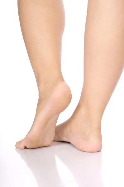 Женские ноги — стоковое фото