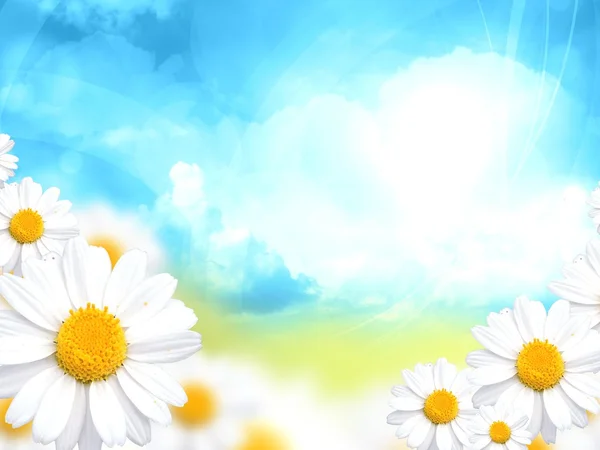 Sunny blue background with daisy flowers — Stock Photo, Image