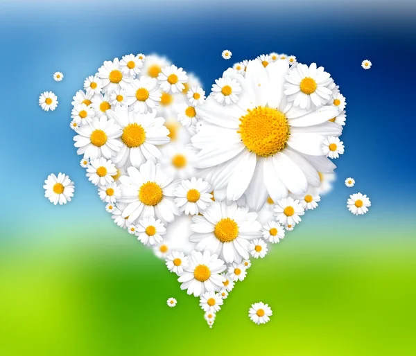 Heart made of daisies illustration — Stock Photo, Image