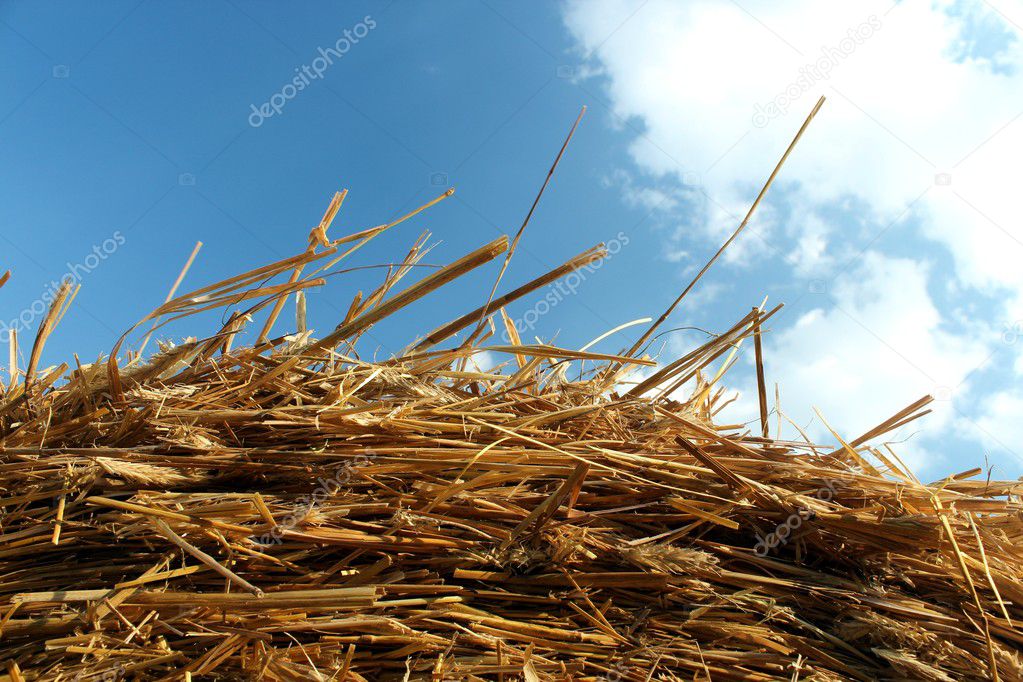 Straw hay and blue sky