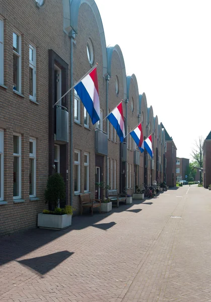 Holenderski flagi — Zdjęcie stockowe