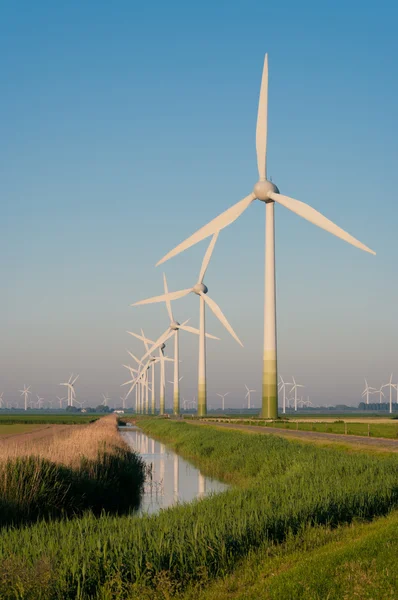 Windturbines w Holandii — Zdjęcie stockowe