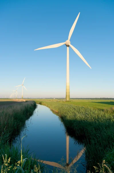 Windturbine w Holandii — Zdjęcie stockowe